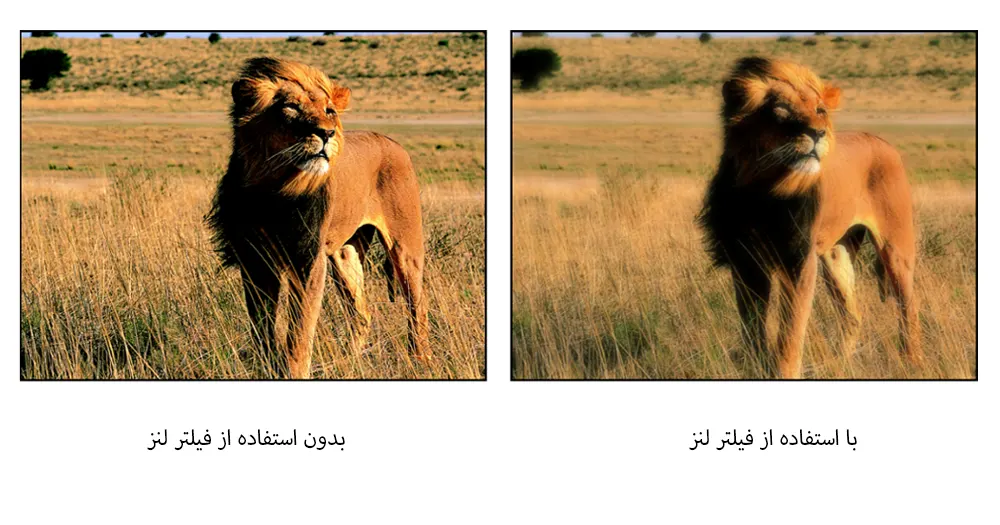 فیلتر sf (مات کننده ملایم)